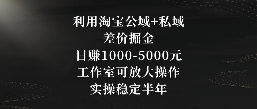 利用淘宝公域+私域差价掘金,日赚1000-5000元,工作室可放大操作,实操…