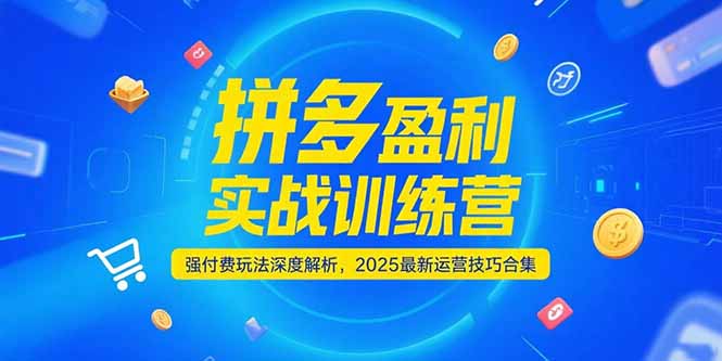 拼多多盈利实战训练营,强付费玩法深度解析,2025最新运营技巧合集