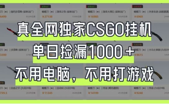 真全网独家CSGO挂机，单日捡漏1000+，不用电脑，不用养号