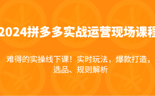 2024拼多多实战运营现场课，实时玩法，爆款打造，选品、规则解析，难得的实操线下课！