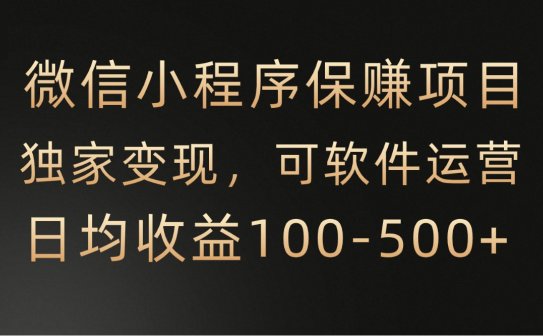 腾讯官方项目，可软件自动运营，稳定有保障，时间自由，永久售后，日均收益100-500+