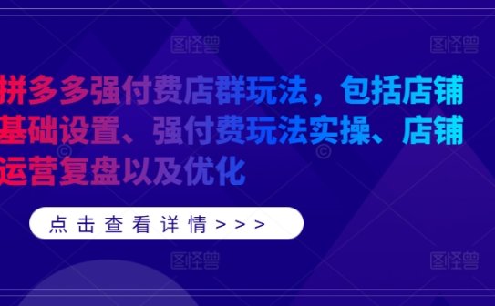 拼多多强付费店群玩法，包括店铺基础设置、强付费玩法实操、店铺运营复盘以及优化