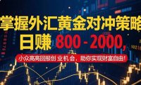 掌握外汇黄金对冲策略，日赚 800 – 2000，小众高回报创业机会，助你实…