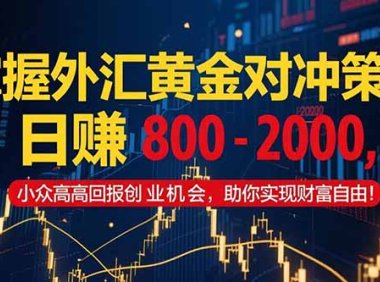 掌握外汇黄金对冲策略，日赚 800 – 2000，小众高回报创业机会，助你实…